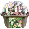 Fanciful Fairy Garden Biosphere Terrarium
