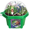 Tiny Fairy Wonderland Micro Dome Terrarium