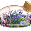 The Flowering Mouse Garden Glass Terrarium with Cork