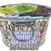 Flowering Tin Garden Variety Pack - 1 Each of 3 Varieties