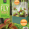 Venus Fly Trap Seed Square Terrarium