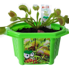 Fred 'The Ferocious' Flytrap Micro Dome Terrarium