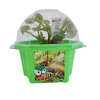 Fred 'The Ferocious' Flytrap Micro Dome Terrarium