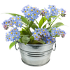 Flowering Tin Garden Variety Pack - 1 Each of 3 Varieties