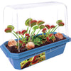 Frightening Flytraps Mini World Terrarium