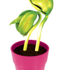 "I Love You" Bean Terrarium
