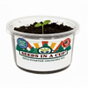 Cucumber Grow Kit | Seeds In A Cup®