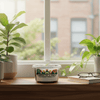 Olive Tree Grow Kit | Seeds In A Cup®