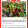Carnivorous Growarium Meat-Eating Seed Terrarium Kit
