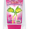 "I Love You" Bean Terrarium