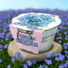 Lil' Bucket of Love - Grow Your Own Forget-Me-Nots Multipack of 3