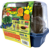 Crazy Cat Plant Mini World Terrarium