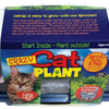 Crazy Cat Plant Mini World Terrarium