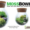 MossBowl- Grow Your Own Beautiful Moss Garden, Complete Kit Come with 3 Mosses!