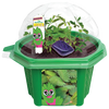 Morgan 'The Mysterious' Mover Micro Dome Terrarium