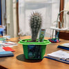 Sully 'The Desert King' Giant Saguaro Micro Dome Terrarium