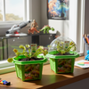Fred 'The Ferocious' Flytrap Micro Dome Terrarium
