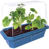Mini Melons Sprouter Terrarium