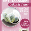 Flowering Cacti Tiny Terrariums Bundle - 2 each of 3 Varieties