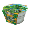 Pot O' Good Luck - Grow Your Own Shamrocks Multipack of 3
