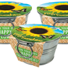 Pail of Sunshine - Grow Your Own Sunflowers Multipack of 3