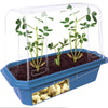 Grow Your Own Peanuts Sprouter Terrarium