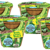 Green Bush Beans Plant-It-Starters - Multipack of 4