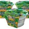Pot O' Good Luck - Grow Your Own Shamrocks Multipack of 3