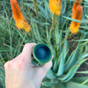 Granola Guy's Scrumptious Soil Scoop