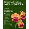 Rhyncholaeliocattleya Maria Angamarca