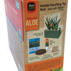 Aloe Seed Square Terrarium