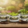 Rhubarb Grow Kit | Seeds In A Cup®