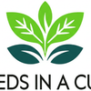 Pea Grow Kit | Seeds In A Cup®