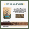 Seedling & Propagation Mix