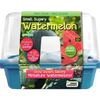 Small, Sugary Watermelon Sprouter Terrarium
