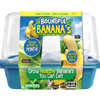 Bountiful Bananas Sprouter Terrarium