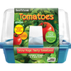 Beefsteak Tomatoes Sprouter Terrarium