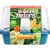 Mini Melons Sprouter Terrarium