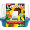 Dwarf Sunflowers Sprouter Terrarium