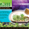 The Succulent Star Mouse Garden Glass Terrarium with Cork