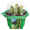 Sully 'The Desert King' Giant Saguaro Micro Dome Terrarium