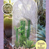 Superb Succulents Glass Terrarium Seed Starting Kit