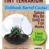 Cacti Tiny Terrariums Bundle - 1 each of 6 Varieties