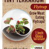 Carnivorous Tiny Terrariums Bundle - 2 each of 2 Varieties