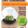 Cacti Tiny Terrariums Bundle - 1 each of 6 Varieties