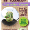 Cacti Tiny Terrariums Bundle - 1 each of 6 Varieties