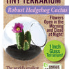 Cacti Tiny Terrariums Bundle - 1 each of 6 Varieties