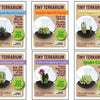Cacti Tiny Terrariums Bundle - 1 each of 6 Varieties