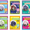 Flowering Tiny Terrariums Bundle - 1 each of 6 Varieties