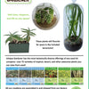 Superb Succulents Glass Terrarium Seed Starting Kit
